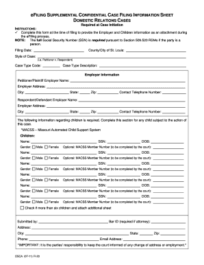 Missouri Domestic Relations Case Filing Information Sheet