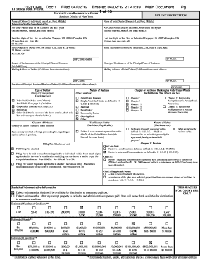 US Bankruptcy Court Voluntary Petition Form