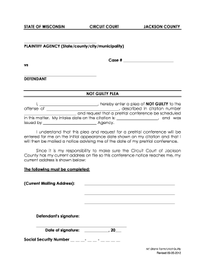 Wisconsin Not Guilty Plea Form