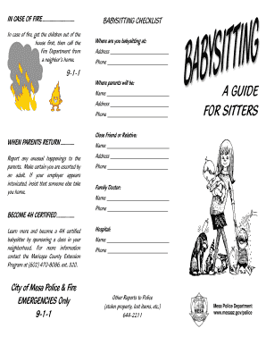 Babysitting Checklist and Emergency Guide