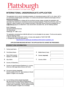 International Undergraduate Application