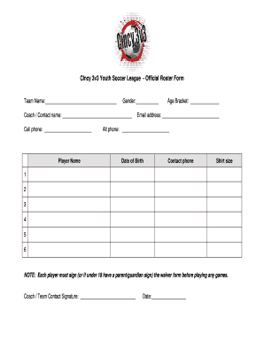 CIncy 3v3 Youth Soccer League Roster Form