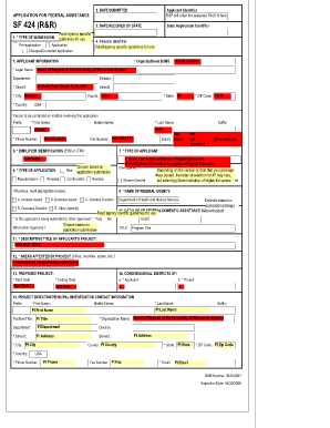 Application for Federal Assistance SF 424 (R&R)