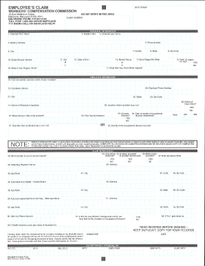 Form preview picture