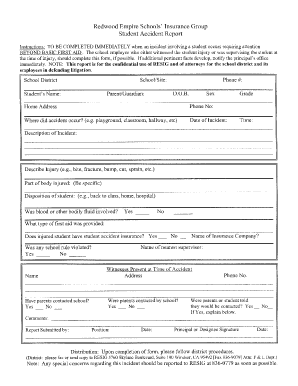 Student Accident Report