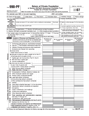 Form 990-PF 2007