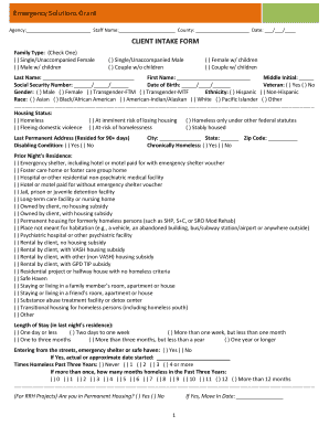 Emergency Solutions Grant Client Intake Form