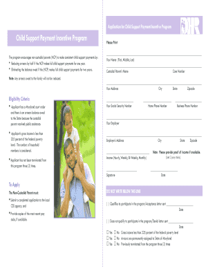Child Support Payment Incentive Program Application