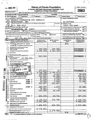 Form 990-PF 2003