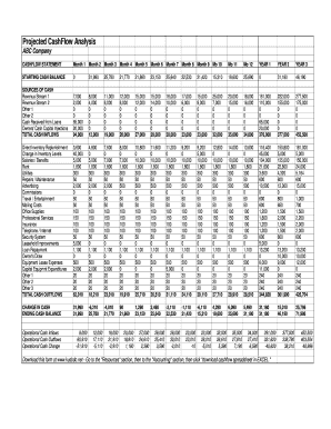 Format of cash flow statement - Projected CashFlow Analysis