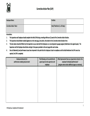 Template for Employee Performance Improvement Plan