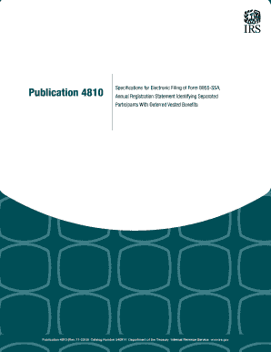 Form 8955-SSA Filing Instructions