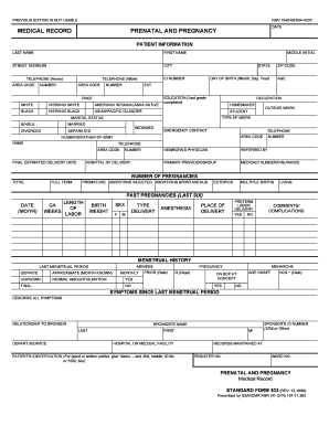 Prenatal and Pregnancy Medical Record Form