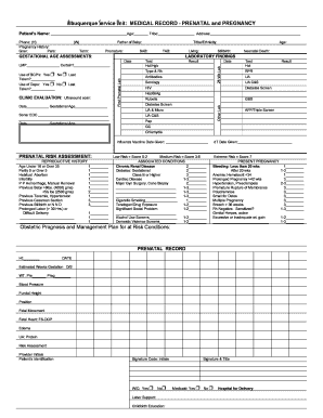 Prenatal and Pregnancy Medical Record Form