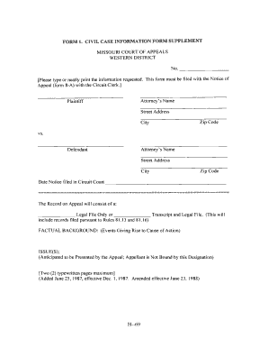 Civil Case Information Form Supplement