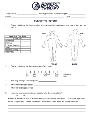 Patient Pain Assessment Form