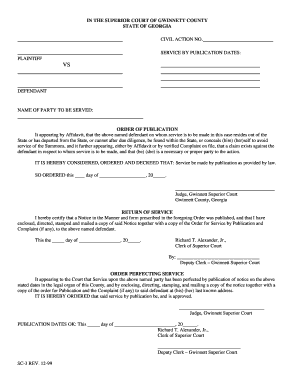 Georgia Court Order of Publication