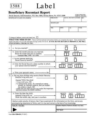 Form preview picture