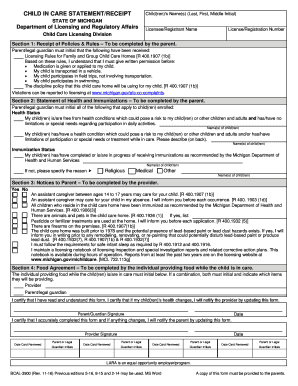 Michigan Child Care Statement/Receipt
