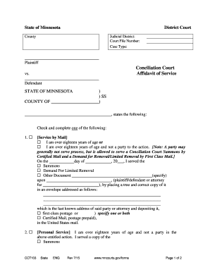 Minnesota Affidavit of Service