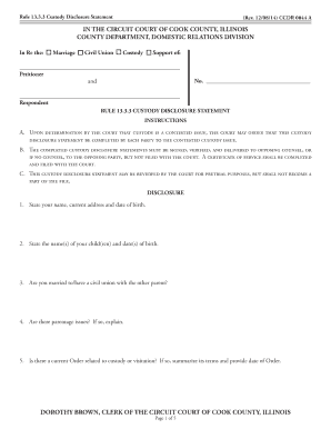 Custody Disclosure Statement