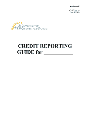 Credit Report Outcome Form