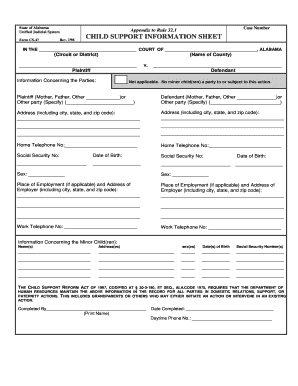 Alabama Child Support Information Sheet