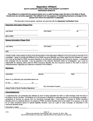 South Carolina Separation Affidavit