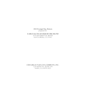 2013 Form 990 Exempt Organization Return