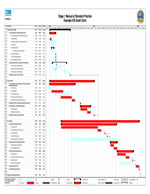 T chart meaning - Example EIS GANTT Chart