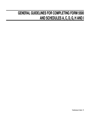 Form 5500 Guidelines