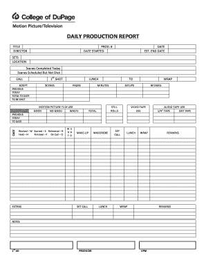 Daily Production Report