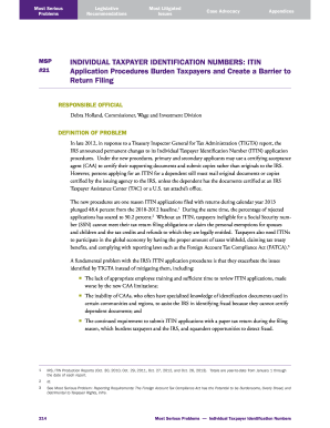 IRS ITIN Application Procedures Analysis