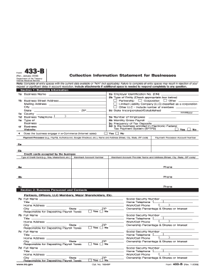 IRS Form 433-B Collection Information Statement for Businesses