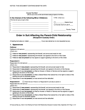 Texas Nonparent Custody Order