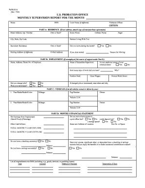 US Probation Monthly Supervision Report