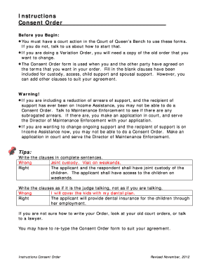 Consent Order for Custody and Support