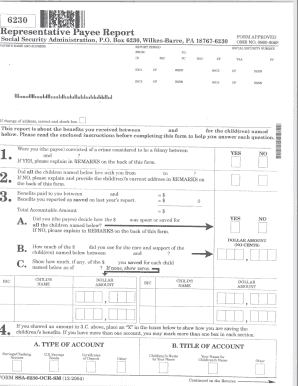 Form preview picture