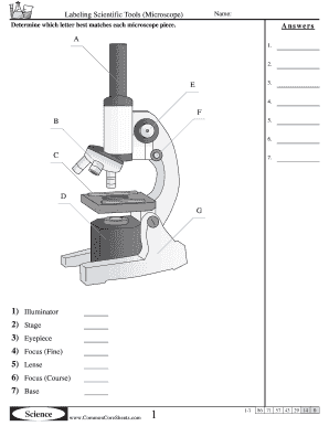 Microscope Labeling Worksheet