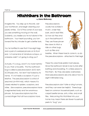Hitchhikers in the Bathroom Worksheet