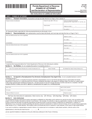 Florida Power of Attorney and Declaration of Representative
