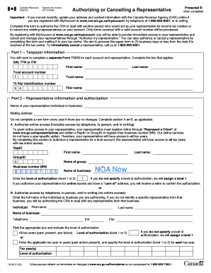 Canada Revenue Agency Representative Authorization Form