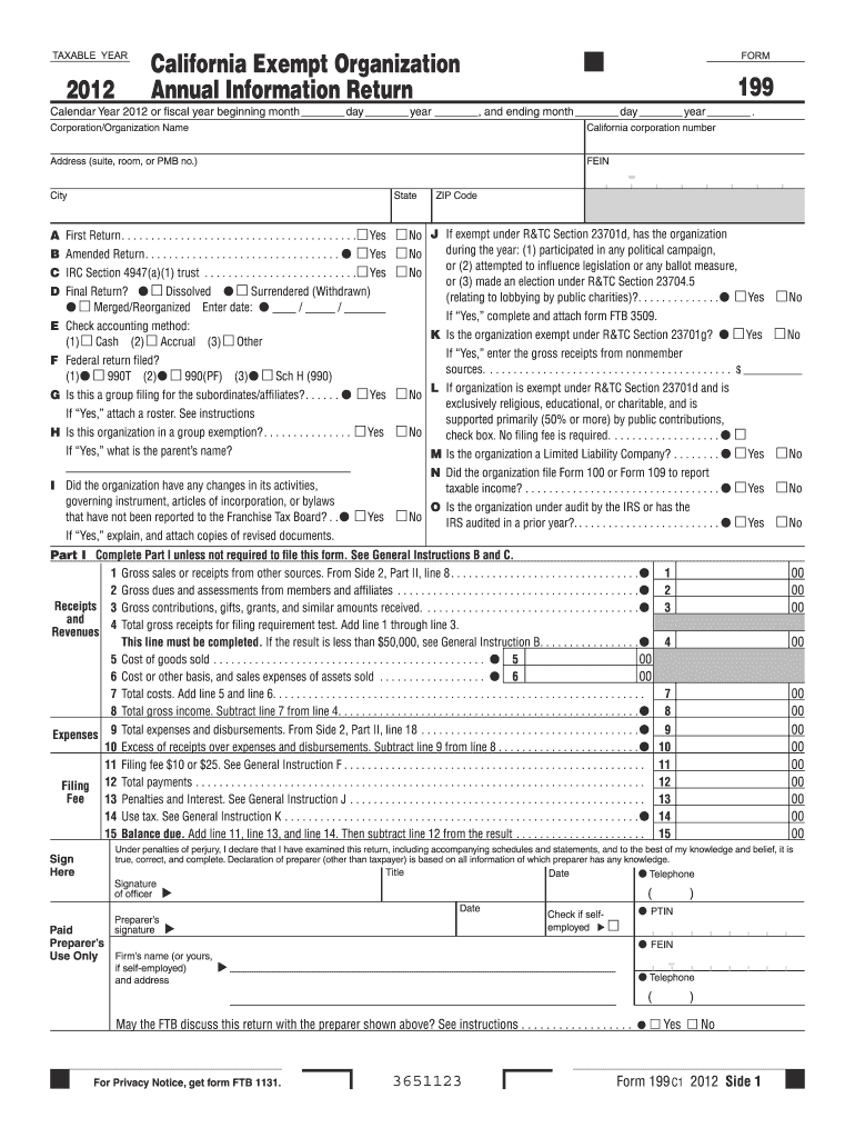 form 199 Preview on Page 1