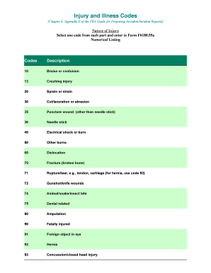 FRA Injury and Illness Codes
