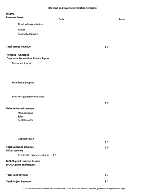 Revenue and Expense Itemization Template
