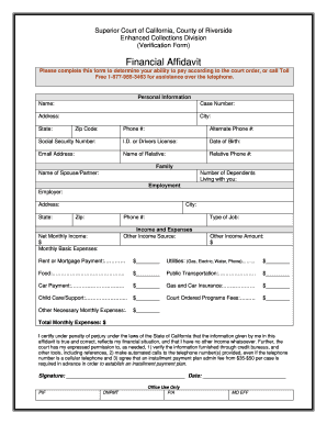 California Financial Affidavit Form