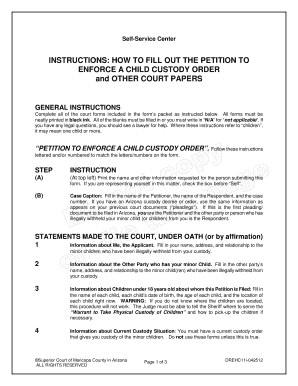 Petition to Enforce a Child Custody Order