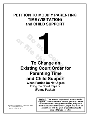 Request to modify custody, parenting time child - Superior Court ... - superiorcourt maricopa