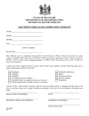 Delaware Low Speed Vehicle Self-Inspection Affidavit