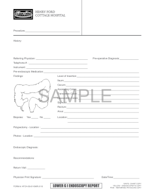Lower GI Endoscopy Report